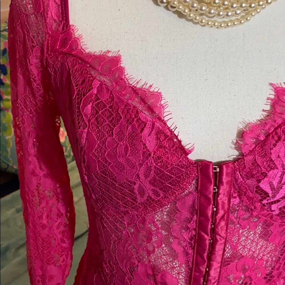Bustier Lace Mini Dress | Large | Hook-Eye Corset, Magenta, Floral Lace - Picture 3 of 15